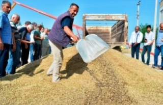 Mardin'de sezonun ilk arpa hasadı yapıldı