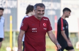 A Milli Futbol Takımı Teknik Direktörü Güneş:...