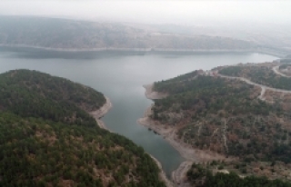 Tarım ve Orman Bakanı Pakdemirli: Bu yıl içme...