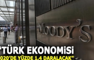 Türkiye, 2020'de yüzde 1,4 daralacak