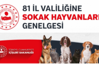 İçişleri Bakanlığı'ndan sokak hayvanları...