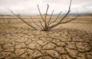 BM: Küresel sıcaklık artışının tehlikeli seviyelere...