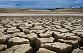 Kanada’da kuraklık tarımsal afete neden oldu:...