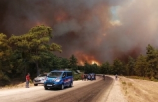 Orman yangınlarında son durum: Müdahale devam ediyor