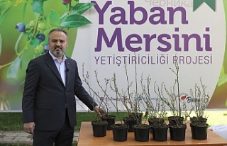 Bursa’nın yerel yönetimleri ‘organik gıda’...