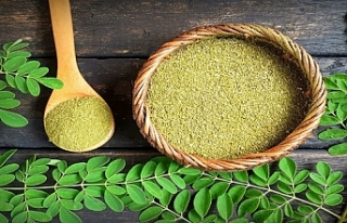 Moringa bitkisinin faydaları nelerdir?