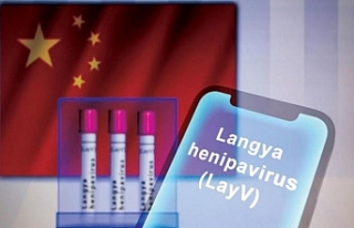 Langya (LayV) virüsü nedir? Belirtileri ne? Çin’de...