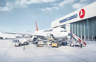 Turkish Cargo, Avrupa’da zirvede