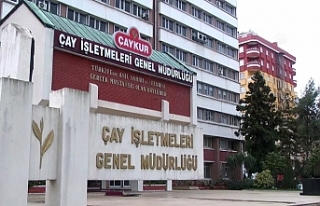 ÇAYKUR, üçüncü sürgün yaş çay alımlarına...