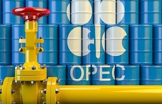 OPEC+ delegeleri Şubat üretim tahminini açıkladı