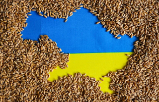 AB, Ukrayna'dan tahıl ithalatını sürdürmeye...