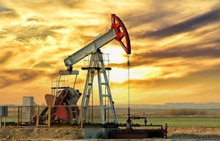 Türkiye'nin petrol ithalatı şubatta arttı