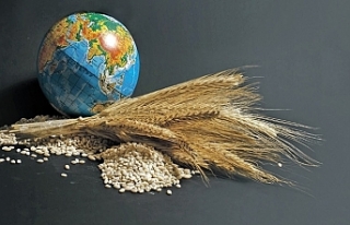 G7 liderlerinden, küresel gıda güvenliği krizine...