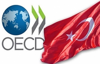 Türkiye, OECD'nin en yüksek oranda büyüyen...