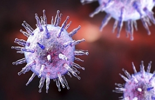 MS'e neden olan virüse karşı ilk aşı geliştiriliyor:...
