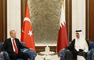 Erdoğan, Al Sani ile görüşüyor
