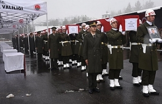 Pençe-Kilit şehitleri için Şırnak'ta tören...