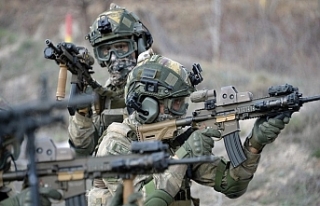 Şehitlerin kanı yerde kalmadı: 7 PKK'lı terörist...