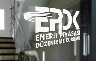 EPDK'dan 29 şirkete lisans