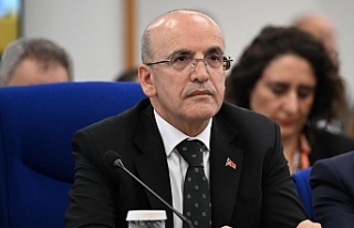 Bakan Şimşek: Fiyat istikrarına giden yol sabır...