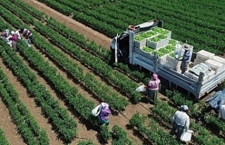 Tarım ve Orman Bakanlığından 33 soruda planlı...