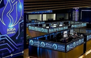2024'te yükseliş, rekor ve aylar süren düşüşler...