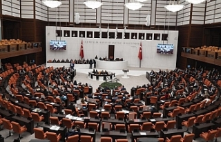 TBMM'de bu hafta hangi konular görüşülecek?