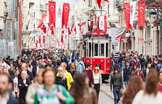 AB ortalamasına göre tüketim mal ve hizmetlerinde...