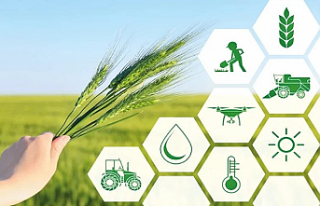 Tarımsal üretime yönelik Hazine destekli finansmana...