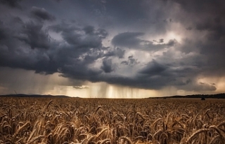Kuraklığın pençesinde olan İran yağmurun yağması...