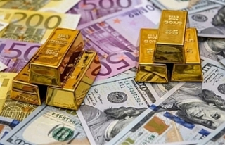 Morgan Stanley 2026 için uyardı: Dolar, euro, altın...