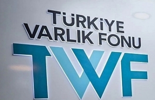Türkiye Varlık Fonu’nun borcu 20 ayda 4.6 milyar...