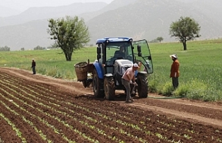 Çiftçilere sağlanacak desteklere ilişkin usul...