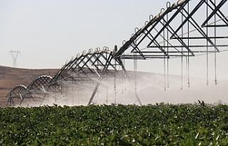 DAP Bölge Kalınma İdaresi 12 yılda 2 bin 86 projeye...