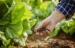 Gıdada sürdürülebilirlik için uluslararası AR-GE...
