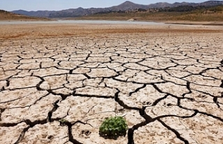 İklimde kritik dönemeç: 2023-2025 dönemi 1,5 derece...