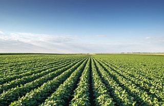 Tarım sezonunun ilk 3 ayında yağışlar yüzde...