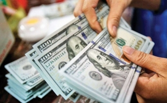 Merkez Bankası anketinde yıl sonu dolar/TL beklentisi yükseldi