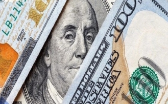 ECB Başekonomistinden Avrupa bankaları için 'dolar' uyarısı