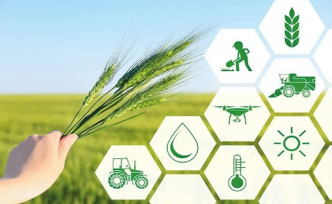 Tarımsal üretime yönelik Hazine destekli finansmana ilişkin limitler yeniden belirlendi