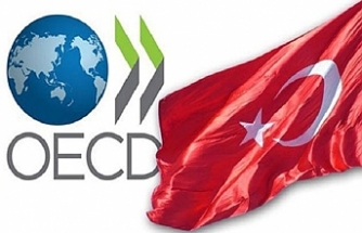 OECD, Türkiye tahminini değiştirdi