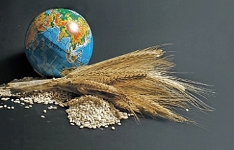 G7 liderlerinden, küresel gıda güvenliği krizine karşı işbirliği mesajı