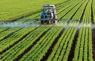 Organik ve iyi tarım uygulamalarına 2,1 milyar lira destek sağlandı