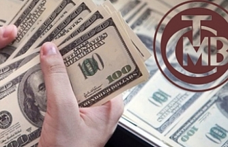 Merkez Bankası rezervleri 2 ayda 30 milyar dolara yakın azaldı