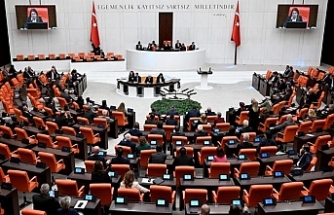İklim Kanunu Teklifi, TBMM Genel Kurulunda