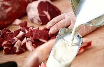 Et ve süt ürünlerine karşı alerji yapan hastalık dünyaya yayılıyor