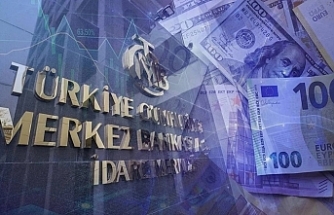 TCMB analizi açıkladı: Firmaların döviz biriktirme eğilimi zayıflıyor
