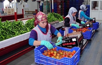 Tarımda tüm zamanların en yüksek yıllık ihracatı