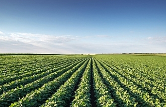 Tarım sezonunun ilk 3 ayında yağışlar yüzde 20 azaldı