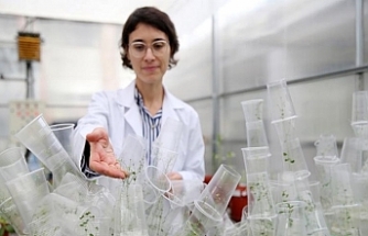 Türk bilim kadını deneyleriyle uzay biyolojisine katkı sunuyor